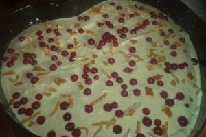 Cheesecake cu blat de cacao _ Dukan