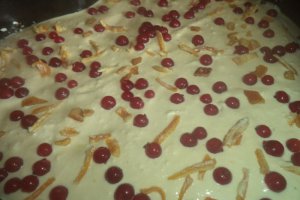 Cheesecake cu blat de cacao _ Dukan