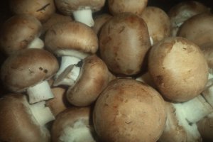 Pulpe de pui pe pat de sare si ciuperci sotate