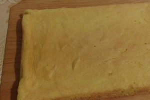 Prajitura cu crema de cocos si visine