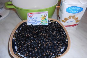 Dulceata de coacaze negre