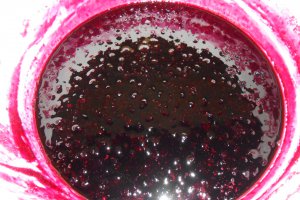 Dulceata de coacaze negre