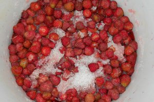 Sirop de capsuni