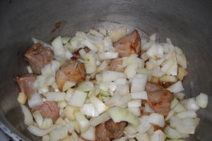 Tocanita de porc cu ceapa si ardei copt