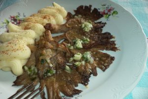 Pleurotus la cuptor cu parmezan ras si mujdei de usturoi