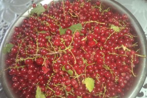 Prajitura cu fructe, crema de vanilie si frisca