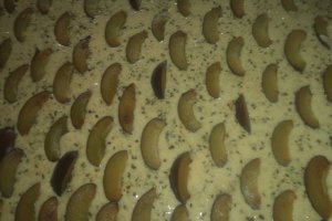 Prajitura cu fructe, crema de vanilie si frisca