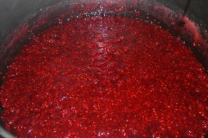 Dulceata de zmeura