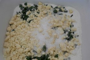 Placinta cu branza  si ceapa verde