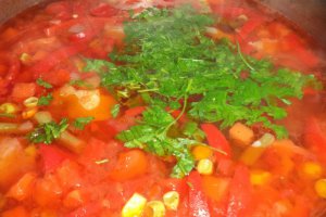 Ciorba de vara cu legume mexicane