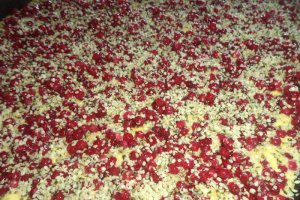 Prajitura ninsa cu strugurei rosii, seminte de chia si de canepa