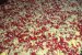 Prajitura ninsa cu strugurei rosii, seminte de chia si de canepa-5