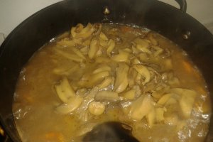 Tocanita cu carne de vita