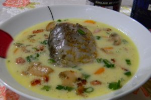 Supa de crap cu ciuperci si smantana