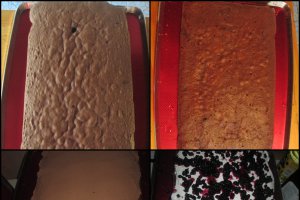Tort deux chocolats (cu ciocolata alba si neagra)