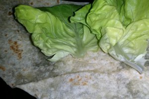 Saorma cu piept de pui