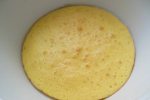 Tort cu crema de vanilie, visine si piersici