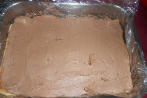 Prajitura cu jeleu de caise