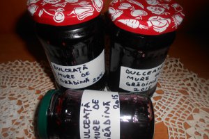 Dulceata de mure de gradina
