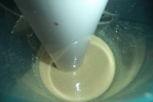 Tahini (pasta de susan)