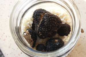 Cum pastram tartufo?