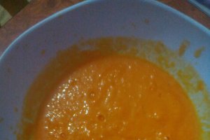 Conopida gratinata cu bechamel si bacon