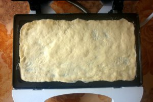 Sandvisuri cu cremwusti de pui facute la sandvismaker