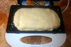 Sandvisuri cu cremwusti de pui facute la sandvismaker