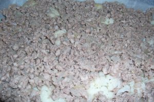 Conopida la cuptor
