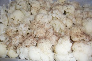 Conopida pane