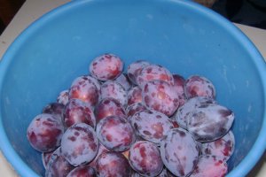 Gem de prune roşii