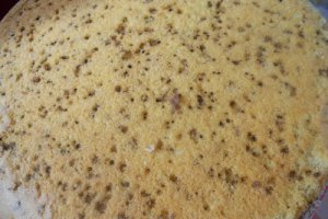Tort cu crema de caise, fructe de padure si lamaie