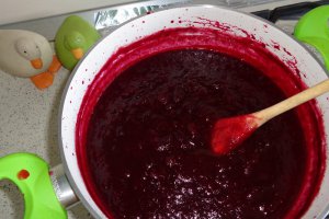 Gem delicios de prune