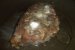 Ciuperci de roua in sos de smantana cu piure de cartofi-3