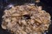 Mancare de orez cu ciuperci si usturoi  la wok-2