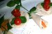 Tartine fantezii-7