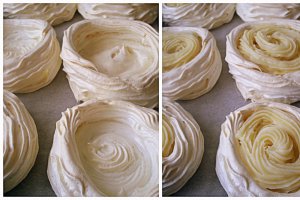 Pavlova cu mure