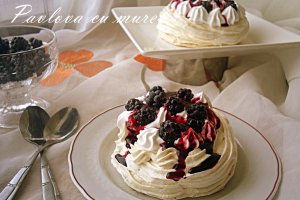 Pavlova cu mure