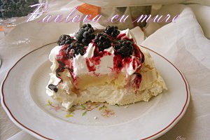 Pavlova cu mure