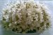 Gogosi cu flori de salcam-1