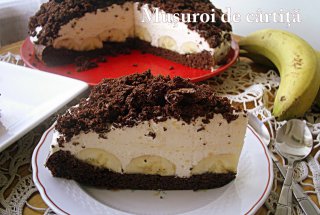 Desert tort musuroi de cartita