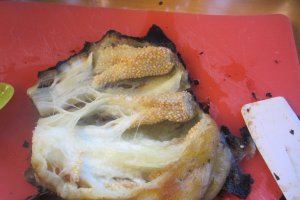 ZACUSCĂ CU CIUPERCI PLEUROTUS