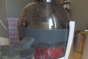 ZACUSCĂ CU CIUPERCI PLEUROTUS