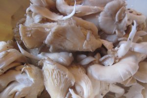 ZACUSCĂ CU CIUPERCI PLEUROTUS