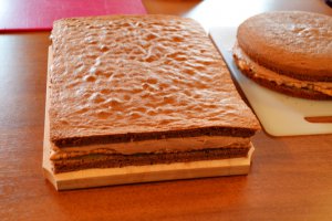 Tort Frozen