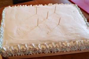 Tort Frozen