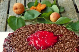 Tort cu crema mascarpone si gem de caise - Reteta cu numarul 500