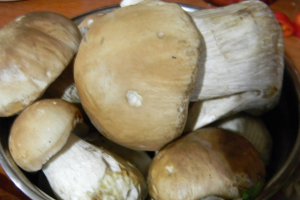 Tortellini cu sunca si hribi de padure