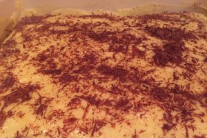 Negresa cu crema de vanilie si fulgi de ciocolata