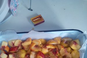 Pandispan cu cacao si fructe